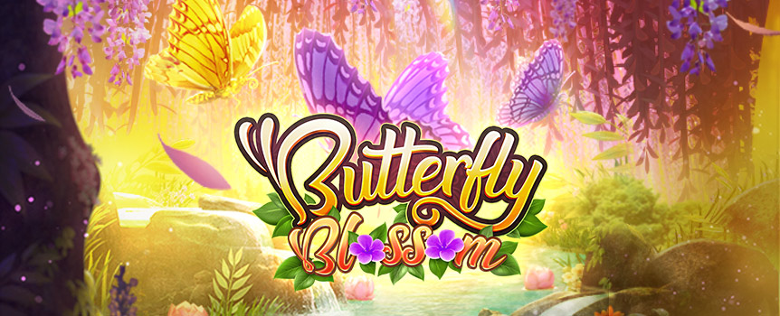 Take a trip deep into this beautiful garden where as well as stunning Flowers, you'll also find amazing Butterflies and some huge Prizes! 