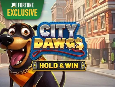 City Dawgs 
