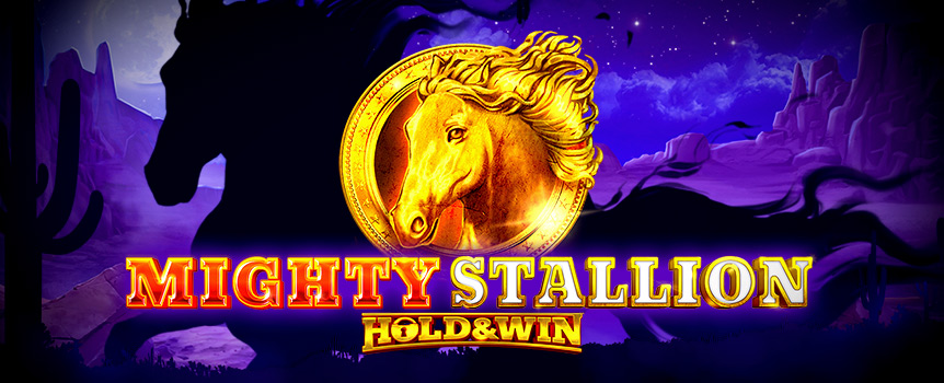 Giddy up, cowboy! It's time to hop on the saddle and mount the Mighty Stallion as you Hold on tightly in this 3 Row, 5 Reel, 20 Payline Western pokie. 