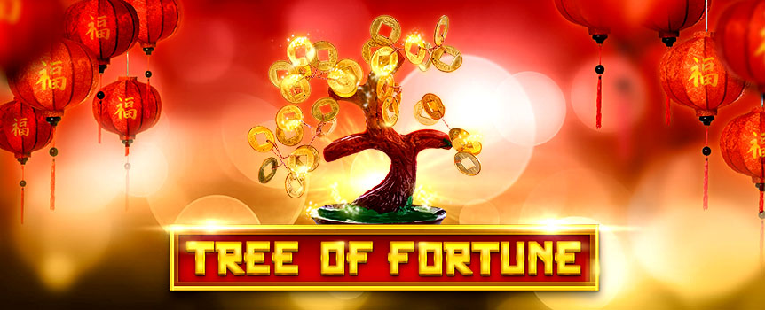 Looking for an oriental adventure? Try Tree of Fortune – a 5-reel slot where you meet face-to-face Chinese dragons, golden roosters and lucky cats.  