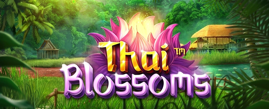 Thai Blossoms is a 4 Row, 5 Reel, 100 Payline pokie with Stackable Wilds, Free Spins and Huge Prizes over 920x your stake on offer!