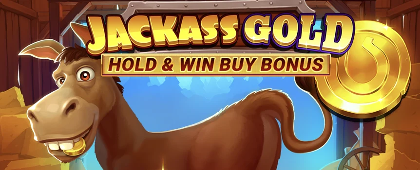 Collect Bonus symbols or buy your way into the Bonus for the chance to earn yourself a hefty payday in Jackass Coins Hold & Win Buy Bonus.