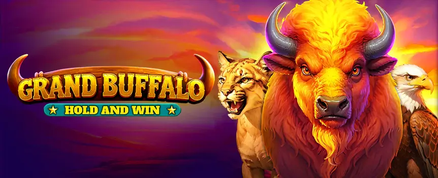 Witness the amazing power of the Buffalo Wilds and Fireballs for the chance to score Multiplier wins and Jackpot prizes in Grand Buffalo Hold and Win.