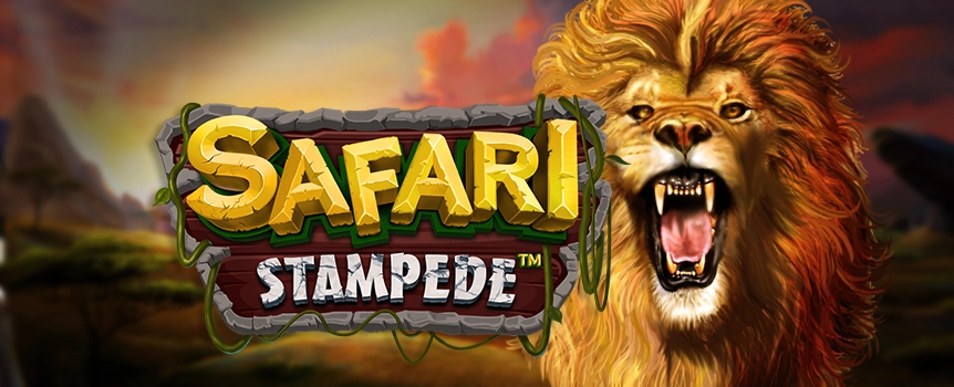 Step into the thrilling action of Safari Stampede at Joe Fortune, where every bet gives you the chance to win giant prizes, which can be worth thousands!