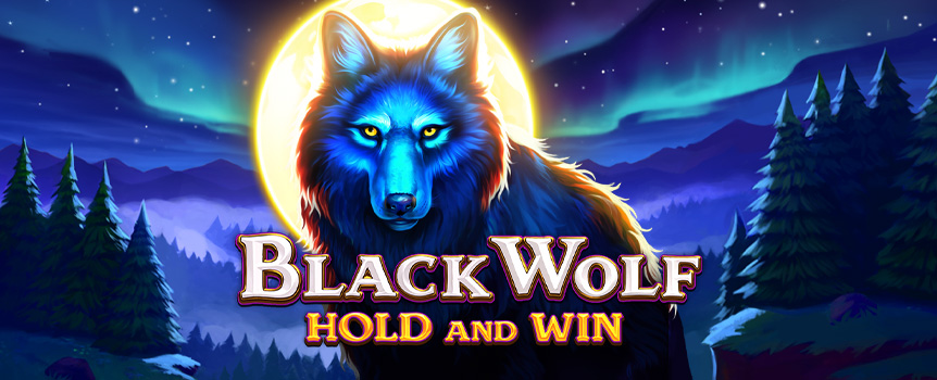 Free Spins, Re-Spins, 4 different Jackpots and Payouts up to 1,000x your stake! Play Black Wolf: Hold and Win today.