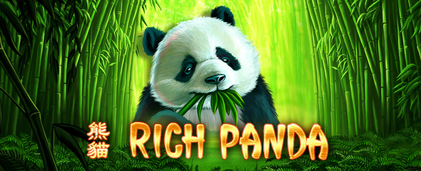 Play the Rich Panda pokie at Joe Fortune casino.
