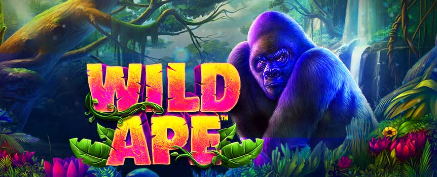 Prepare for a wild jungle adventure. Swing into action on this colourful 5-reel slot, which comes with eye-popping graphics and is packed full of features. During Free Spins and Wild Ape Respins, the reels are extended to add an extra row of symbols and the number of lines is doubled from 20 to 40 create epic wins.