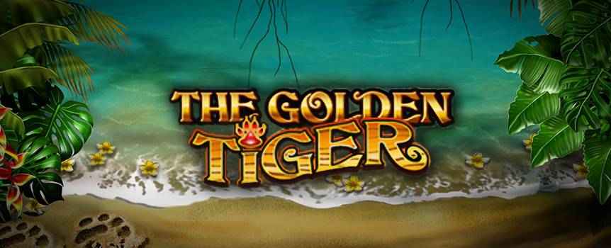 Travel to an exotic jungle paradise where you’ll encounter mystical beasts, waterfalls and butterflies in search of the elusive The Golden Tiger. 