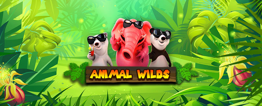 Take your pokie experience to the outback with Animal Wilds.